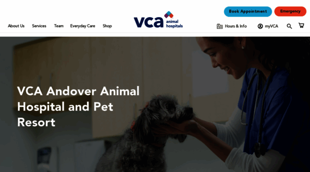 andovervetandboarding.com