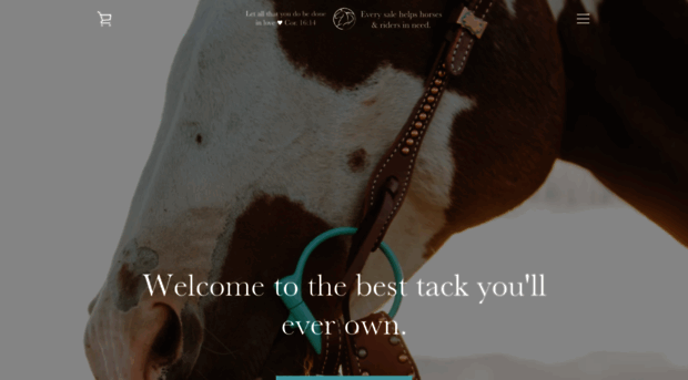 andreaequine.com