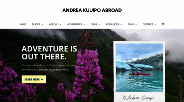 andreakuuipoabroad.com