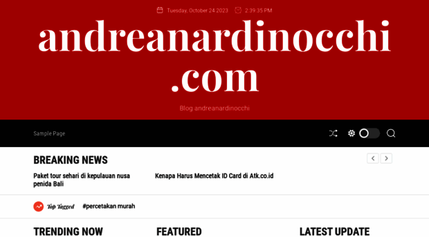 andreanardinocchi.com