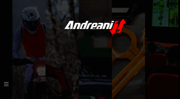 andreanigroup.com