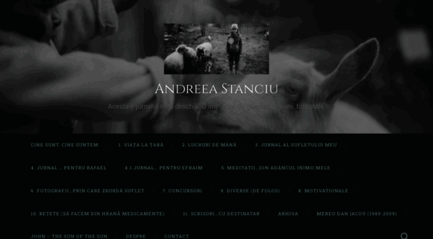 andreeastanciu.wordpress.com