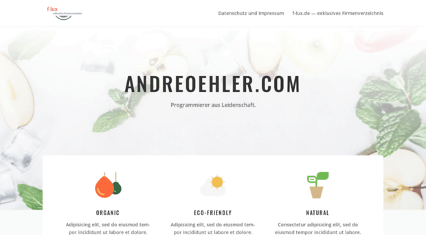 andreoehler.com