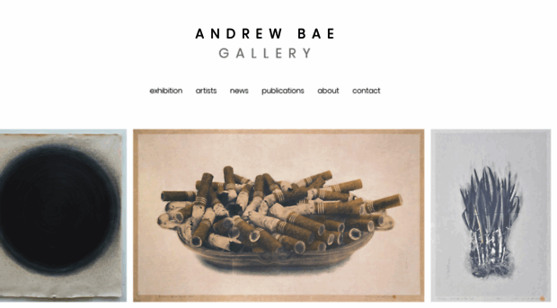 andrewbaegallery.com