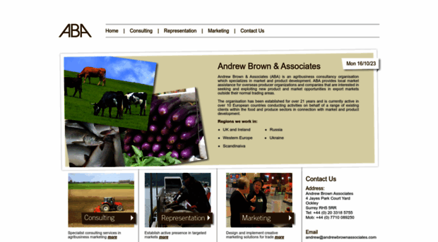 andrewbrownassociates.com