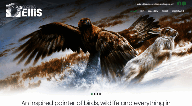 andrewellispaintings.com