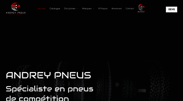 andreypneus.com