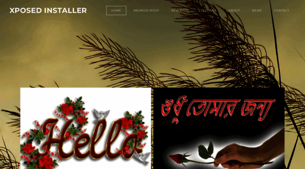 andronur.weebly.com