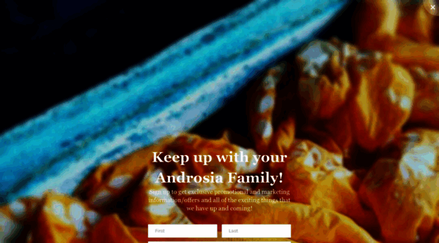 androsia.com
