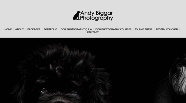 andybiggar.com