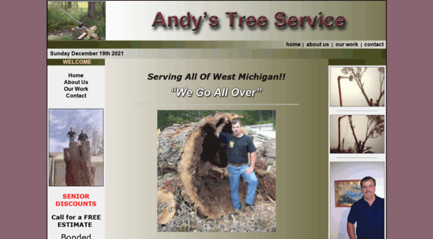 andystreeservice.com