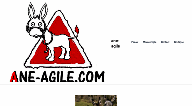 ane-agile.com