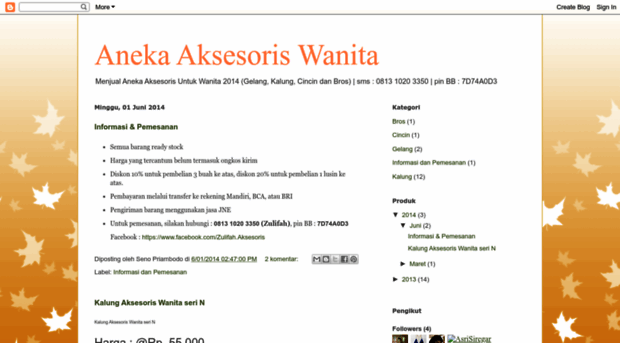 anekaaksesoriswanita.blogspot.com