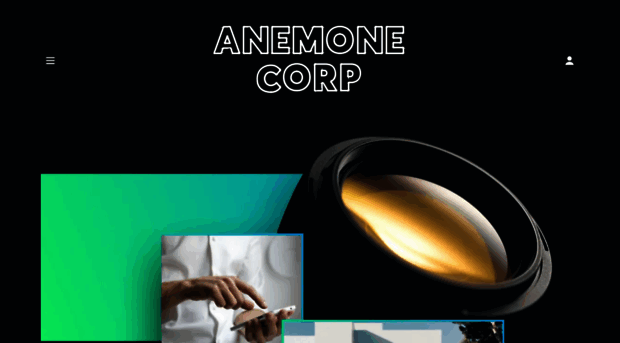 anemonecorp.com