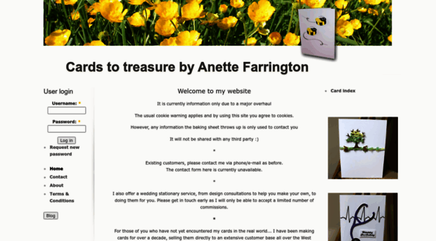 anettefarrington.com