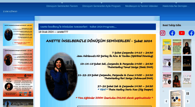 anetteinselberg.com