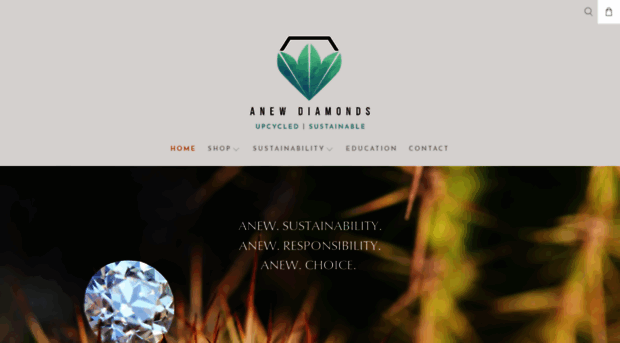 anewdiamond.com