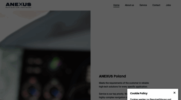 anexus.de