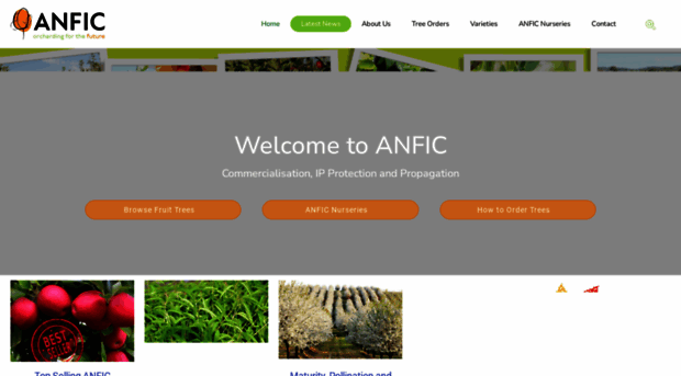 anfic.com.au