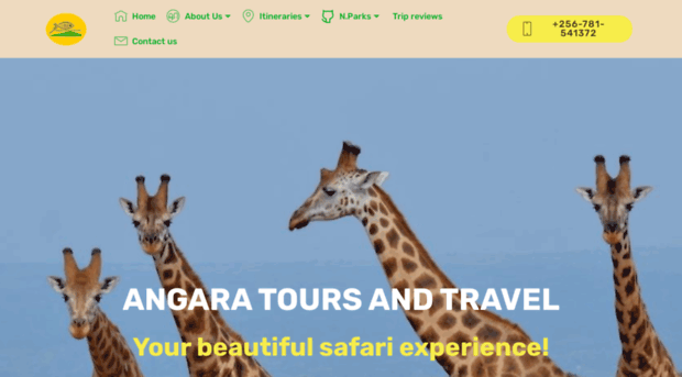 angaratours.com