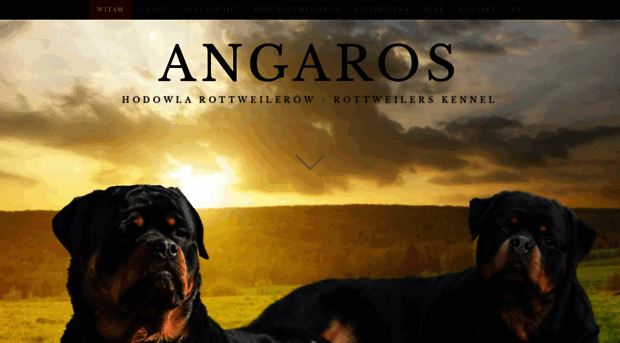 angaros-rottweiler.com