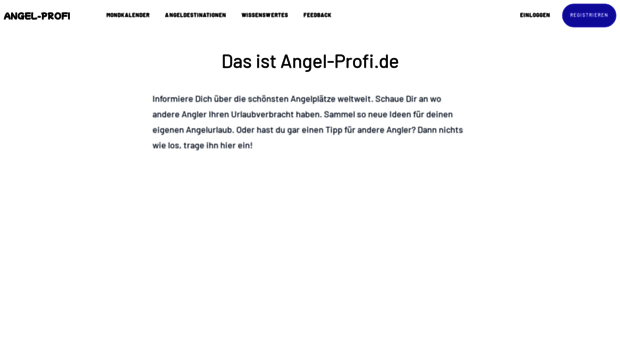 angel-profi.de