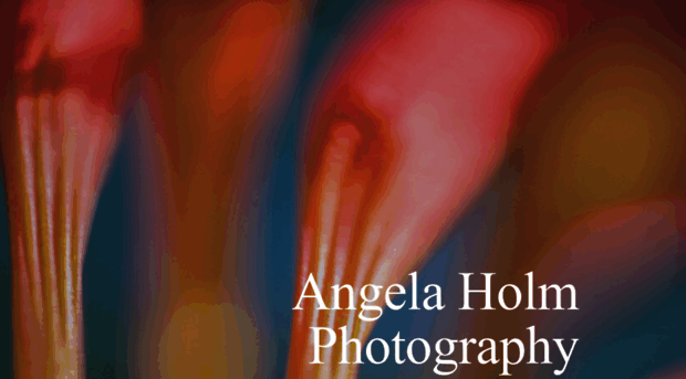 angelaholmphotography.com