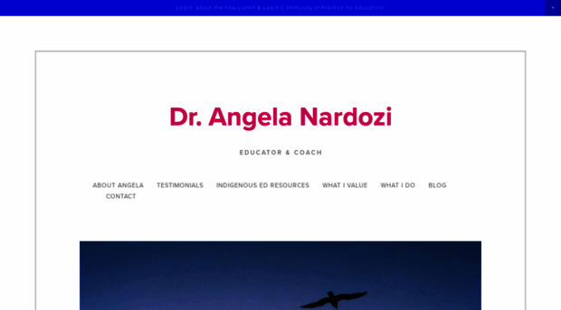 angelanardozi.com