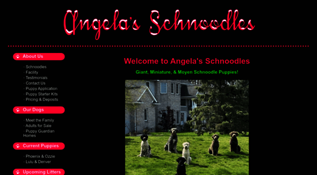 angelasschnoodles.com