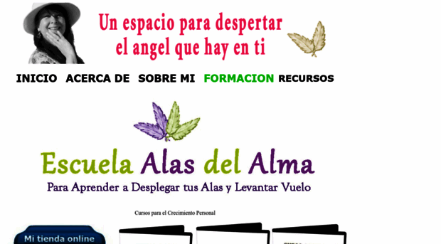 angeldelaguarda.com.ar