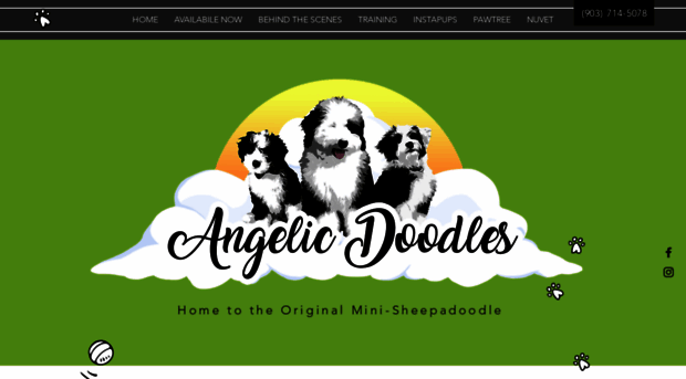 angelicdoodles.com