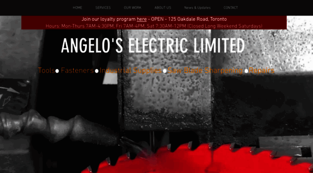 angeloselectric.com