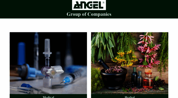 angelproducts.co.in