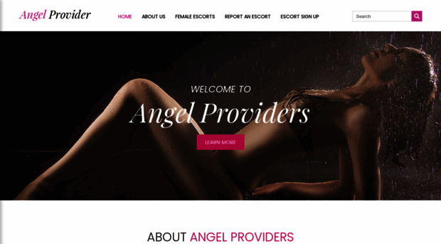 angelprovider.com