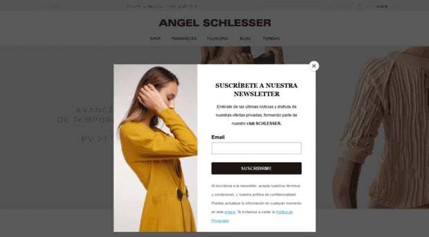 angelschlesser.com