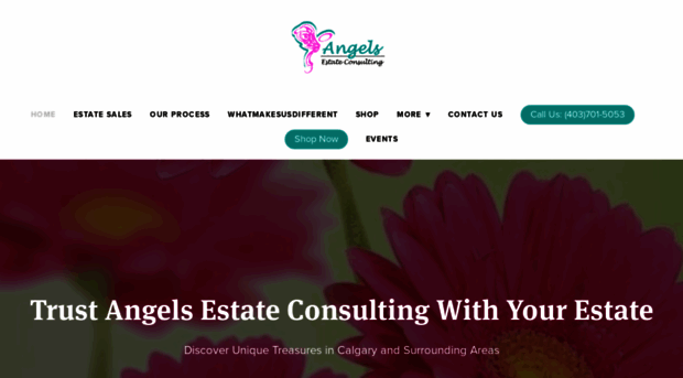 angelsestateconsulting.com