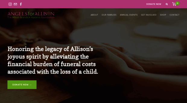 angelsforallison.org