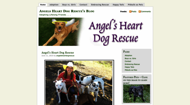 angelsheartdogrescue.wordpress.com