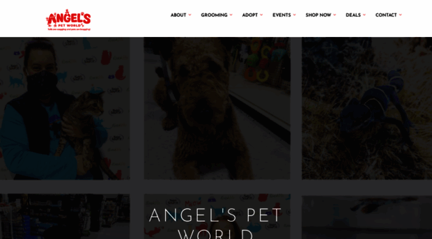 angelspetworld.com