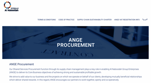 angeprocurement.com