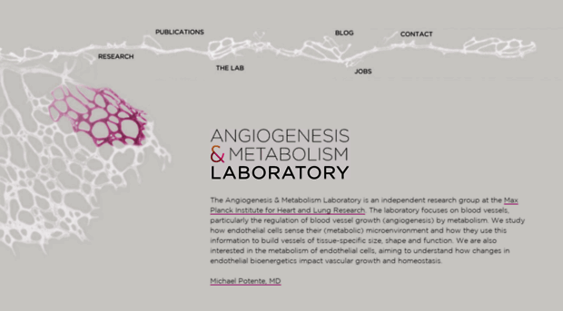 angio-met-lab.com