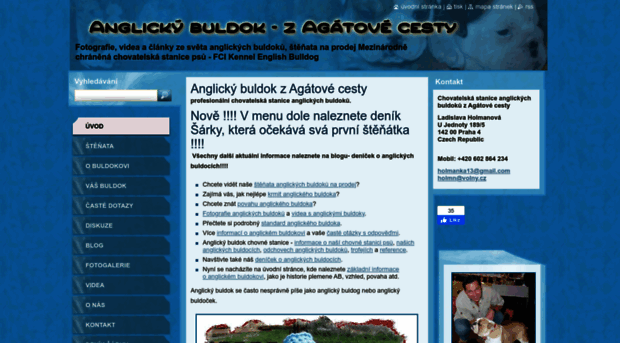 anglicky-buldok.cz