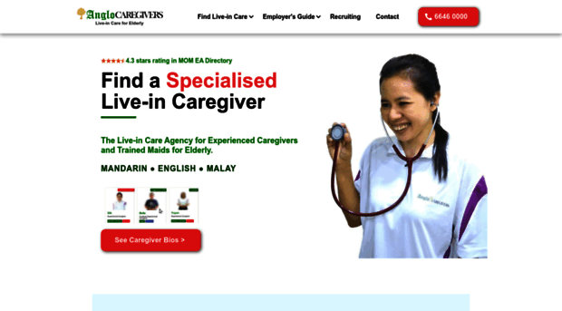 anglocaregivers.com