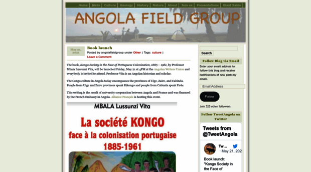 angolafieldgroup.com