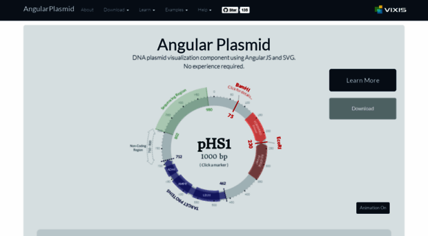 angularplasmid.vixis.com