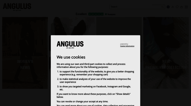 angulus.com