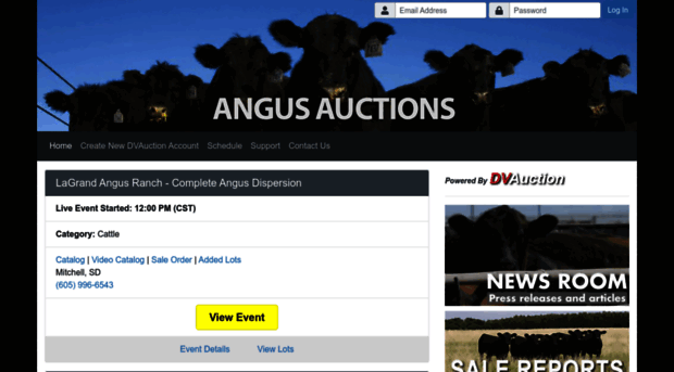 angusauctions.com