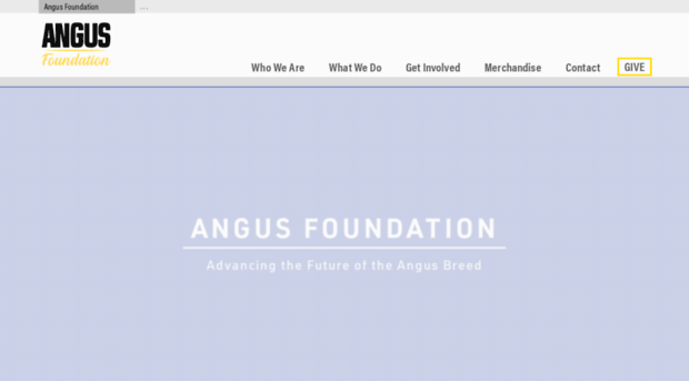 angusfoundation.org