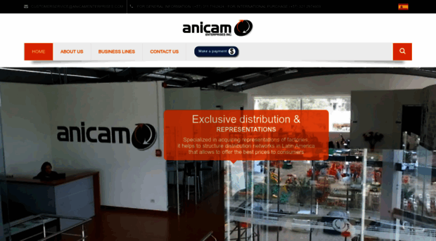 anicamenterprises.com