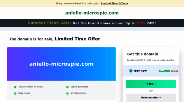 aniello-microspie.com
